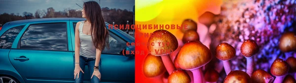 круглые Алексеевка
