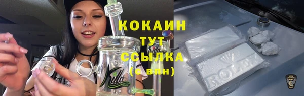 круглые Алексеевка