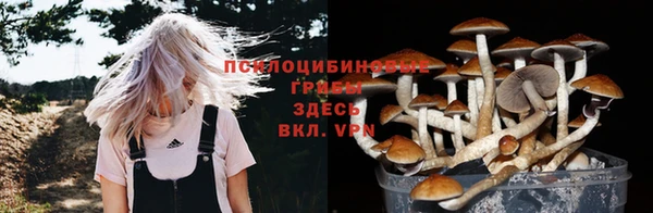 герыч Алексин